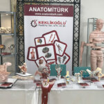 Keklikoğlu Anatomik Model