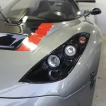 Onuk Car Sazan / Erkan Alkanat