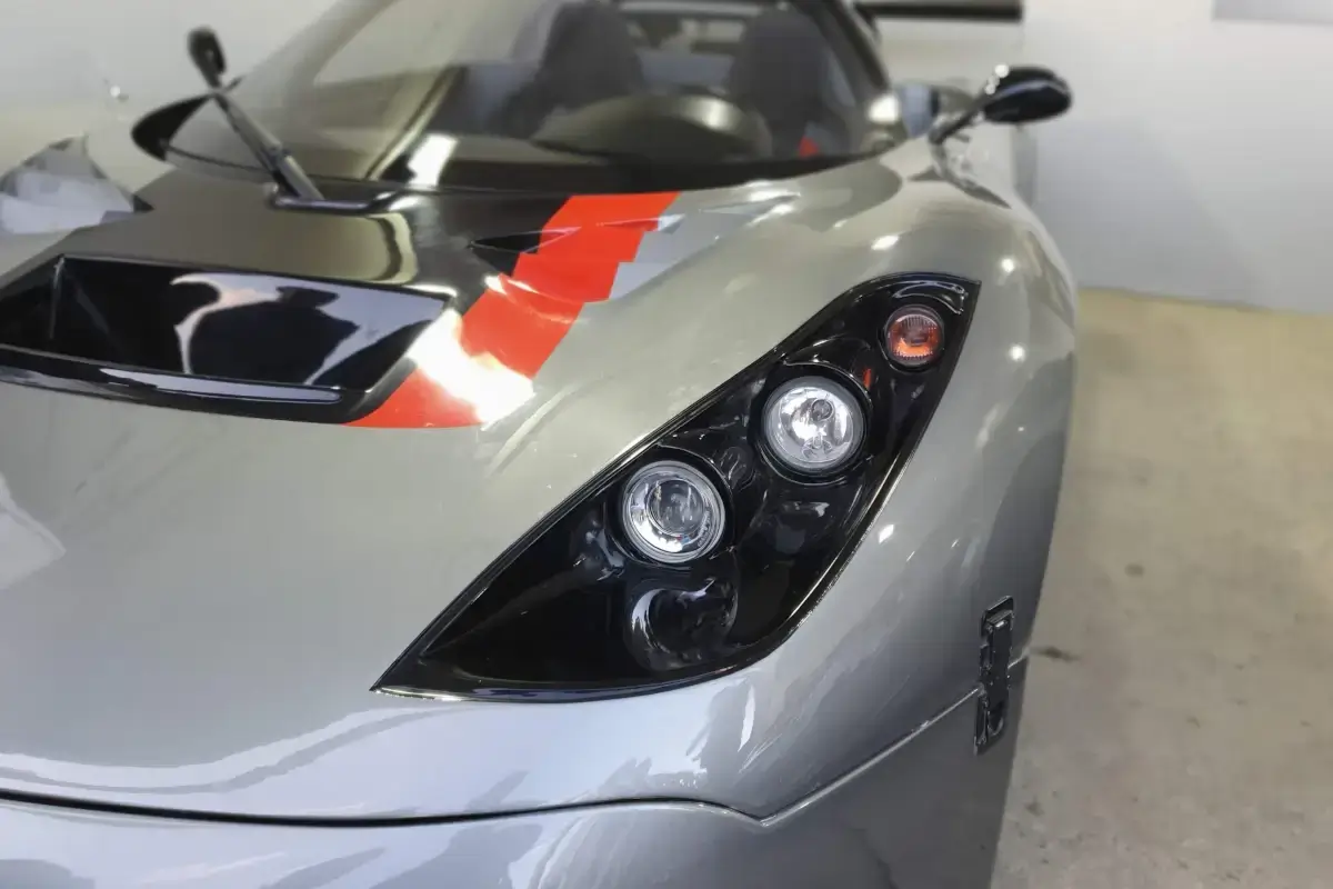 Onuk Car Sazan / Erkan Alkanat