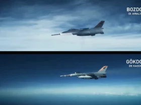 Tübitak SAGE, Hava Hava Savunma Füzeleri Bozdoğan ve Gökdoğan