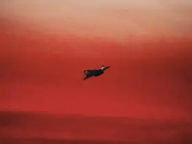 Baykar, Bayraktar KIZILELMA AB Kalkış Testi