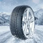 Petlas Snowmaster 2 Sport