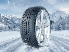 Petlas Snowmaster 2 Sport