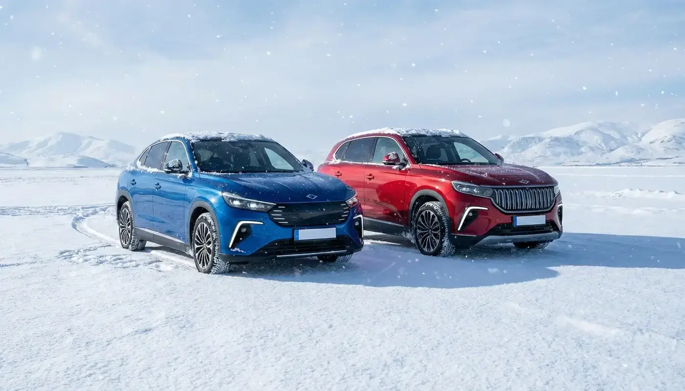 Togg Kış Soğuk Hava Performansı