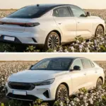 Togg'un Yeni Rengi Seyhan Beyazı