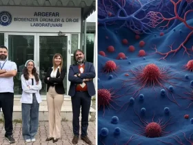 Melek Öztürk - ONCOMathRIX / Bornova İlçe Millî Eğitim Müdürlüğü