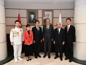 Türkiye ve Japonya Savunma Sanayisi Alanında İş Birliklerini Görüştü / SSB